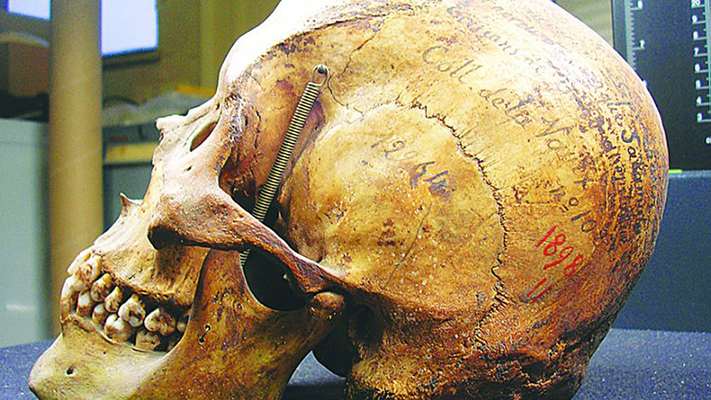 Francia devolverá a descendientes de Chubut los restos de un tehuelche que exhibían en un museo