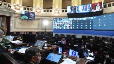 argentina, Juan Mario Pais, Ley Ovina, proyecto de ley, Senado