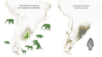 El hombre fue el culpable de  la extinción de la megafauna