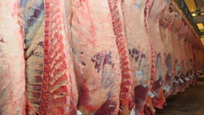 carne chubut, chubut, exportación carne, federación rural chubut, osvaldo luján, Sociedad Rural