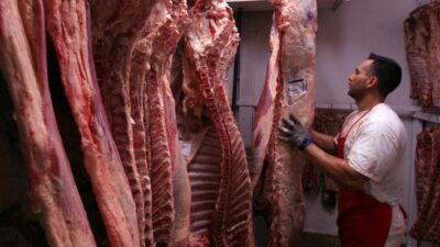 argentina, campo, Carne, Casa Rosada, COMERCIO, conflicto, exportaciones, Mario Ravettino