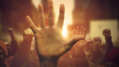 Etiquetas: rock, The Wild