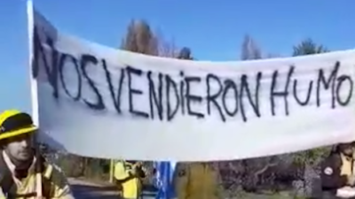 Brigadistas de Chubut y Río Negro se movilizaron por mejores condiciones laborales