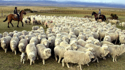 chubut, esquel, Hacienda, leonardo jones, paro del campo, Sociedad Rural