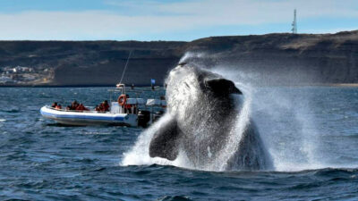 camara turismo chubut, feriado 25 mayo, turismo chubut