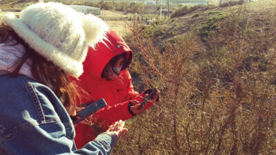 Etiquetas: biodiversidad, Cenpat, CIENCIA, educación, Taller