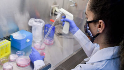 Alertan por el aumento de la variante andina en el AMBA