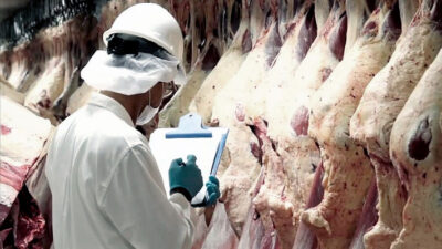 carenes, Exportación, Luis Basterra, precio de la carne