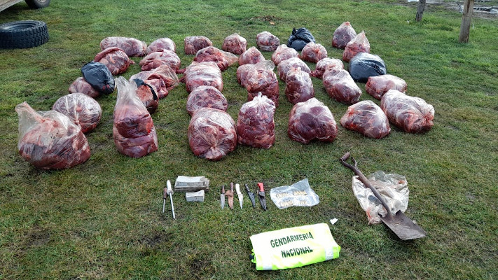 Trevelin: Transportaba 800 kilos de carne de manera ilegal