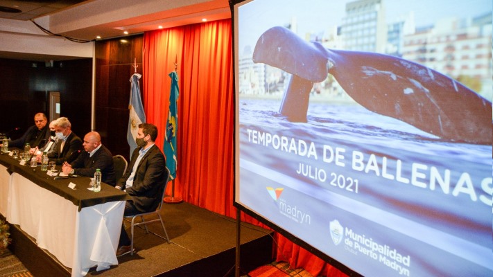 Habilitaron la temporada de avistaje de ballenas en el Golfo Nuevo