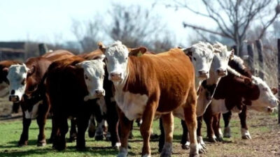 Chubut: «El mayor predador del productor rural es el Estado», sostuvo Irianni