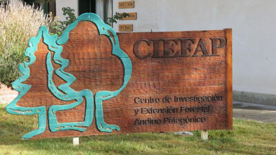 aporte, CIEFAP, CIENCIA, cordillera, Ecología, forestal, inversión