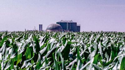 argentina, biocombustibles, ley de biocombustibles