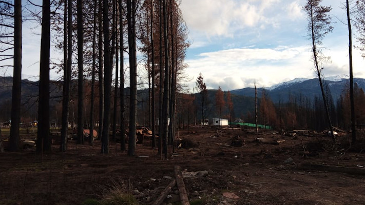 Lago Puelo: Llegaron para ayudar tras los incendios y ahora usurpan tierras