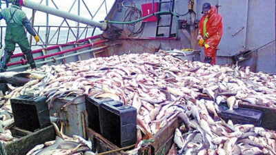 agustín de la fuente, CAPECh, langostino, pesca chubut