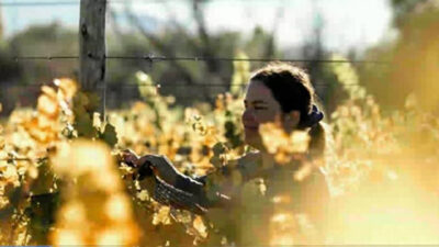Comenzó la 2° edición Expo Vinos de la Patagonia 2020