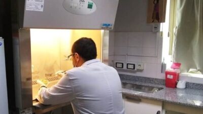 análisis de PCR, covid-19, Madryn, salud