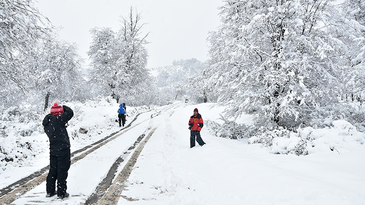 Nación autorizará el turismo grupal en vacaciones de invierno