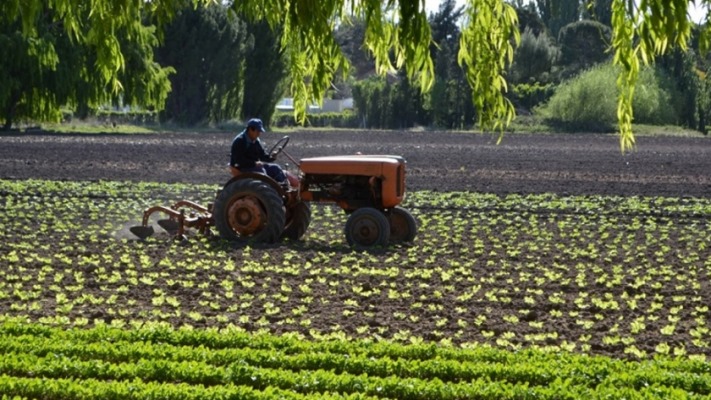 Sin agua y sin ventas, peligra la producción del VIRCh