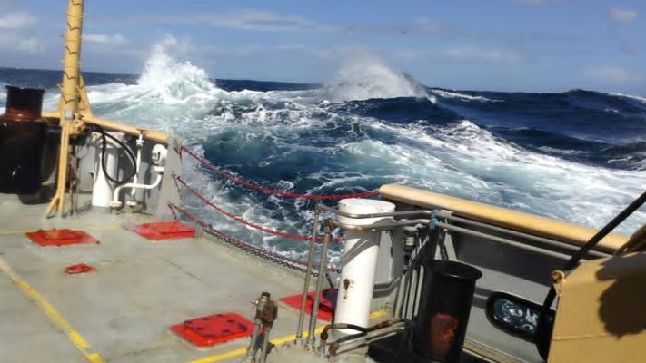 Investigadores de Comodoro postularon proyectos ante Nación vinculados al mar