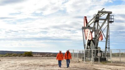 Congreso, Ley de Hidrocarburos, Ley de Promoción de Inversiones Hidrocarburíferas, Organización Federal de Estados Productores de Hidrocarburos, Poder Ejecutivo