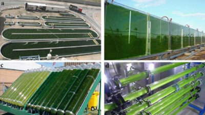 Quieren limpiar el Riachuelo con un sistema de micro algas