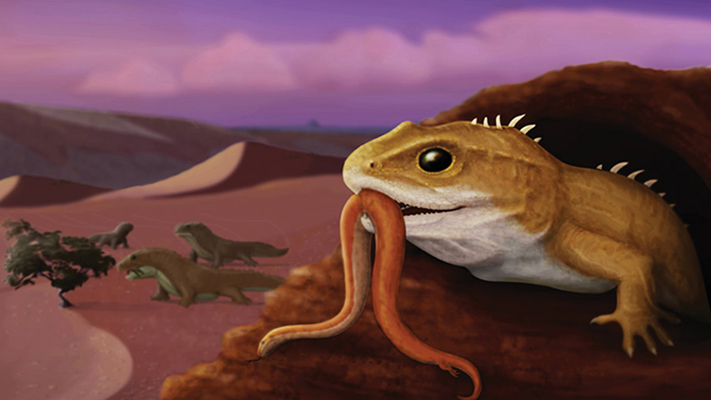 Hallan en Río Negro un fósil que es pariente de un reptil que vive hoy en Nueva Zelanda