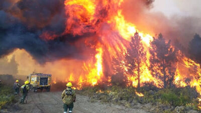 Comarca Andina, fiscal diaz mayer, incendios chubut, sobreprecios lago puelo
