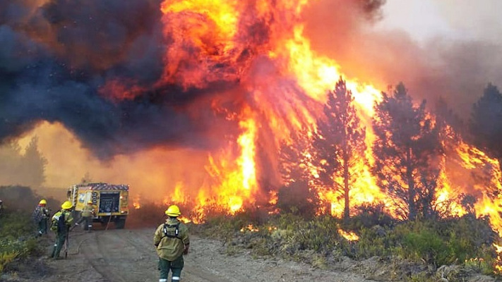 Incendios en la Comarca: Pagaron contratos por poda y desmalezamiento que no se realizó