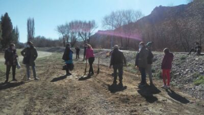 Etiquetas: El Maitén, forestación