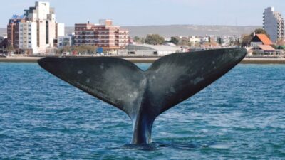 El gobernador Arcioni promulgó la Ley de Turismo de Chubut