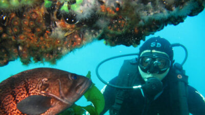 buceo, hundimiento de buques, Malvinas, turismo