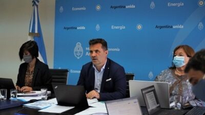 argentina, Darío Martínez, estabilidad tributaria, Ley de Promoción de Inversiones Hidrocarburíferas, Secretario de Energía, Senado