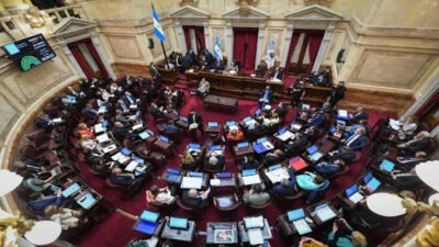 beneficios impositivos, Congreso de la Nación, emergencia territorial indígena, Senado