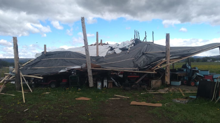 Trevelin: El temporal de viento produjo pérdidas millonarias para productores