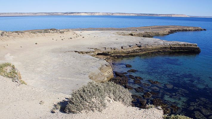 Pesca dispuso una nueva veda para la extracción de moluscos en Punta Pardela