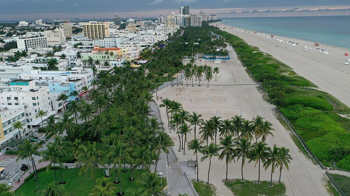 Por el calentamiento global, Miami cambiará sus palmeras