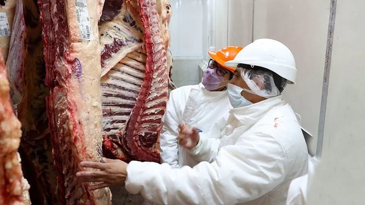 Productores de carne advierten «desmanejo» y discrecionalidad en oficina nacional