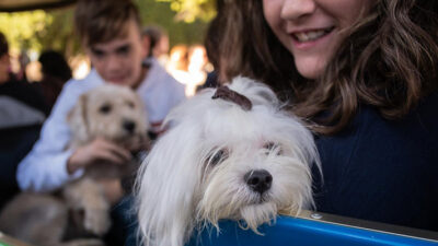 Ecología, mascotas, tenencia responsable