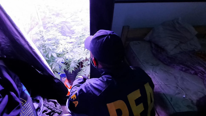 Dos detenidos en Madryn por venta de cocaína y marihuana