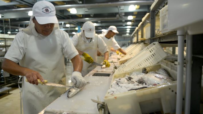Pesca: reducción impositiva a exportaciones de productos elaborados en el país