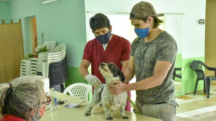 Vacunarán a mascotas en el barrio Perito Moreno