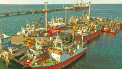 Etiquetas: descargas pesqueras, Ganadería y Pesca, Ministerio de Agricultura, puerto madryn, récord