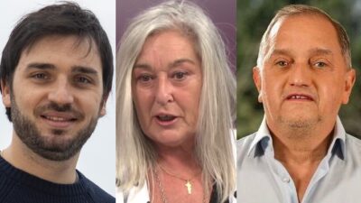 Torres, Terenzi y Linares juran como nuevos Senadores por Chubut