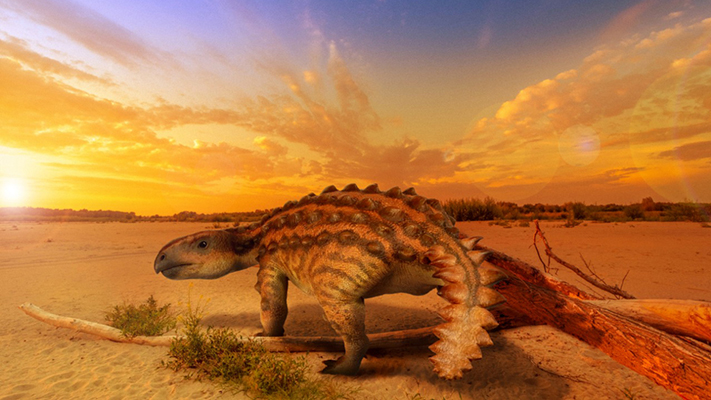 Un dinosaurio acorazado podría ser un eslabón evolutivo