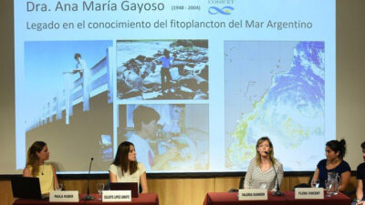 Etiquetas: Ana María Gayoso, CIENCIA, CONICET, contaminación marina, houssay, Mujeres en Ciencia