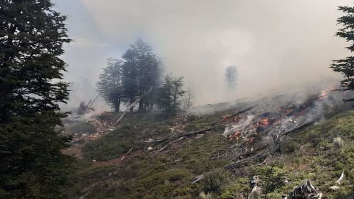 Bomberos combaten un incendio en la zona de Río Pico