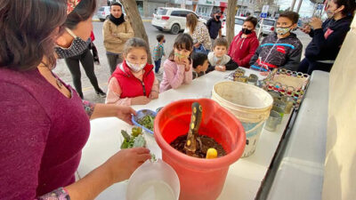 Cultura, Madryn, Mercado Cultural, Municipales
