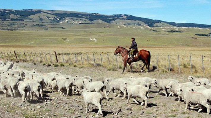 Los trabajadores rurales cobrarán un bono de fin de año de $20.000