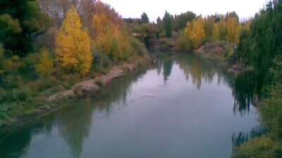 Etiquetas: ahogado, Río Chubut, TRELEW